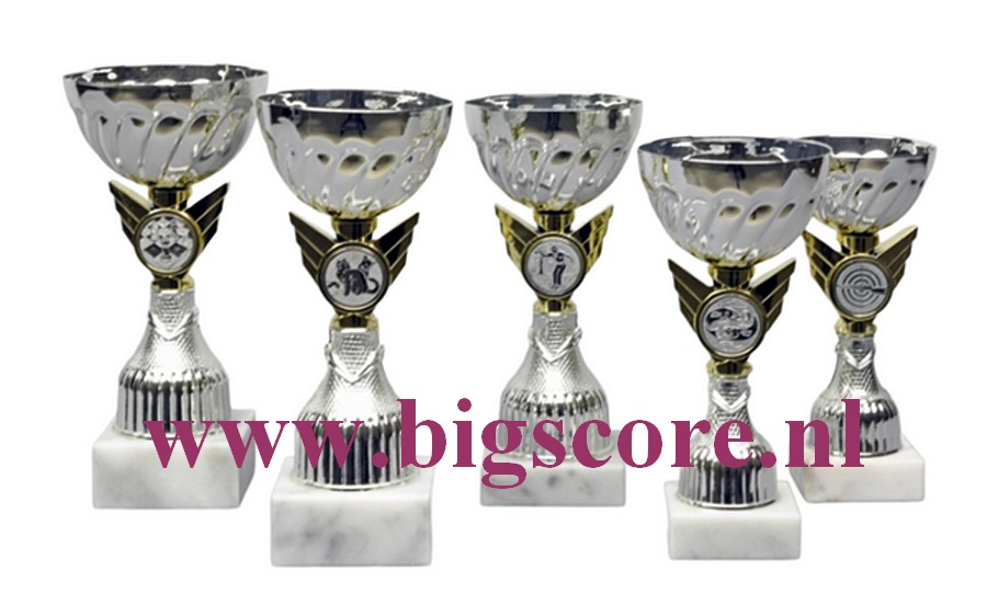 Z 630 Beker Goud-Zilver 5 Delig